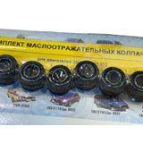 Dichtungsring für Ventil (Klassischer Motor) – Bukhanka Classic & Hunter & 469 (2,4L & 2,9L) – OEM 4.171.007.036