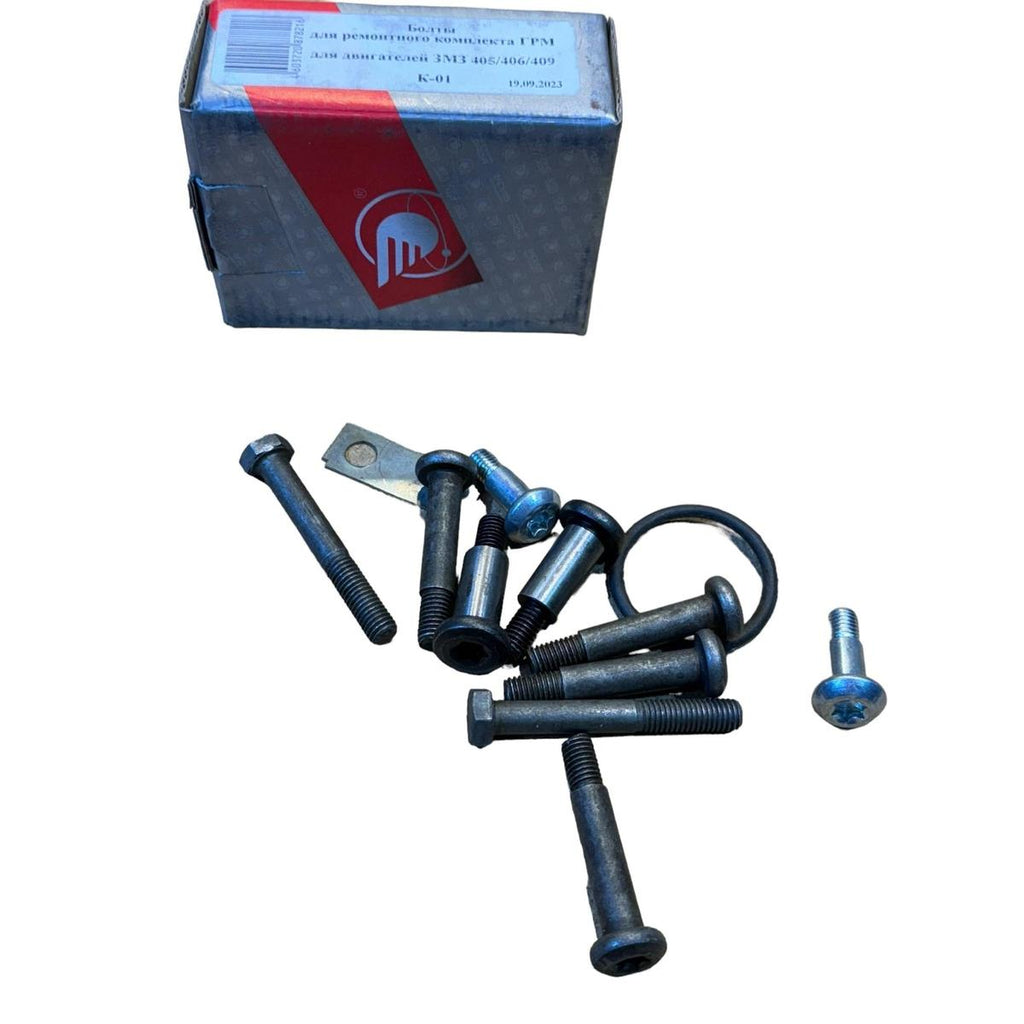 Timing Chain Fasteners – Bukhanka Modern (2.7L Injection), Hunter & 469 (2.7L), Patriot, Profi – OEM GAZ 405/406/409 - Engine - UAZ spare parts