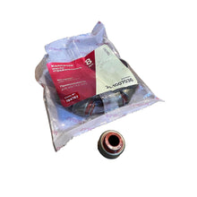 Încarcă imaginea în vizualizatorul Galerie, Valve Stem Seal Set - Bukhanka (Classic 2.4L &amp; 2.9L), Hunter &amp; 469 OEM 24-1007036 - - UAZ spare parts
